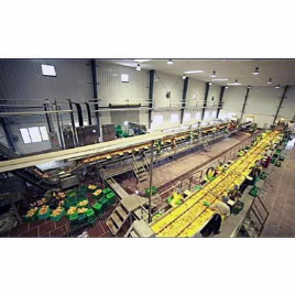 Fruit Processing Machine