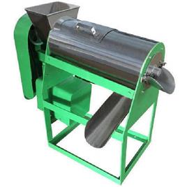 Industrial Fruit Pulp Extractor