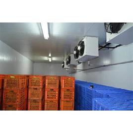 Industrial Fruit Ripening Machine