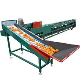 Fruit Classification Machine
