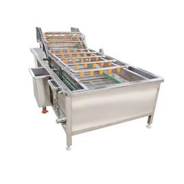 Fruit Cleaning Equipment