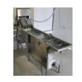 Industrial Fruit Washing Machine