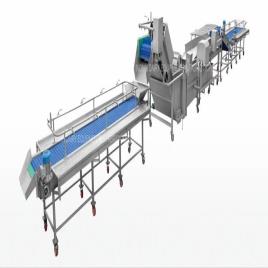 Stainless Steel Fruits & Vegetables Processing Line