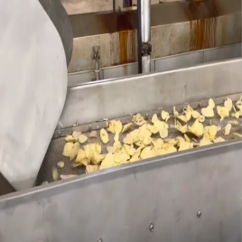 Automatic Fryer Chips Manufacturing Plant