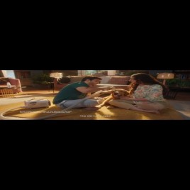 Complete Pet Grooming Kit