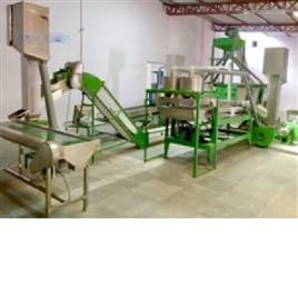 Automated Cashew Processing Equipment