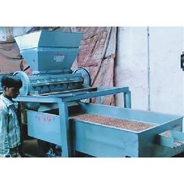 Fully Automatic Supari Processing Machine