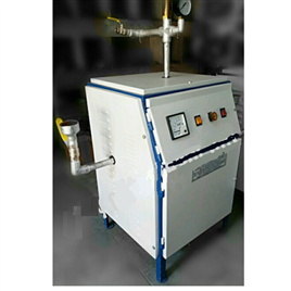 Fulton Biological Steam Equipment, 230w