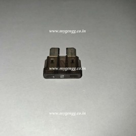 2 Amp MIDI Blade Fuse