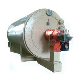 Stainless Steel Thermic Fluid Heater