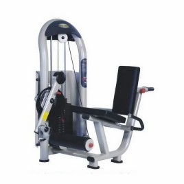 Gamma Fitness Gym Leg Machine