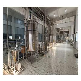 Industrial Continuous Garlic Paste Machine