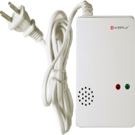 Gas Leak Detector