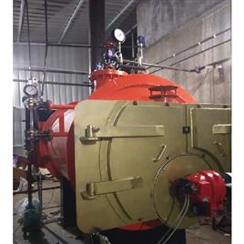 Three Phase Gas Horizontal Steam Machine