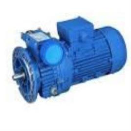 Industrial Geared Motor