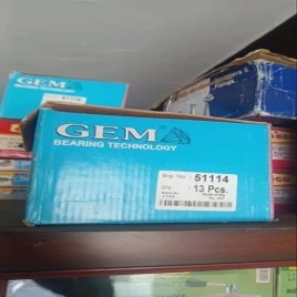 Precision Gem Bearing