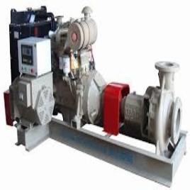 Generator Water Pump