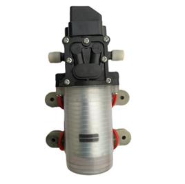 Plastic Metal Agricultural Sprayer Pump DC Motor