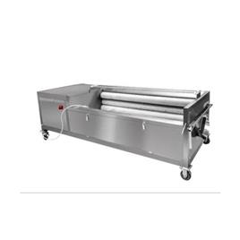 Ginger Peeling and Washing Equipment