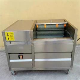Batch Type Ginger Peeling Machine, 300 Kg/Hr