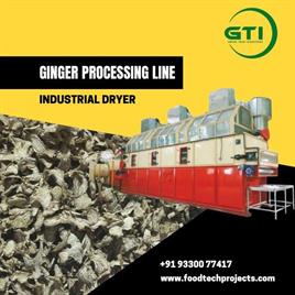 Ginger Processing Equipment - Genex