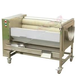 Ginger Carrot Potato Wash Peeling Machine