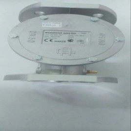 Giulliani Flanged LPG Gas Filter