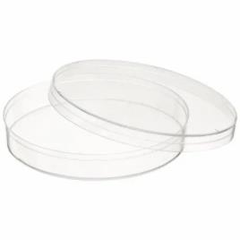 Transparent Glass Petri Dishes, Chemical Lab Use