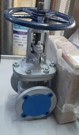 Industrial Globe Valve
