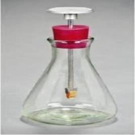Flask Type Electroscope