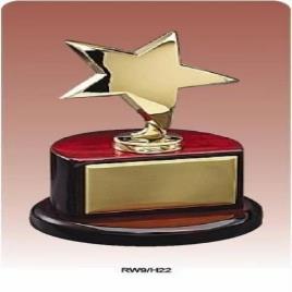 Golden Star Award Trophy
