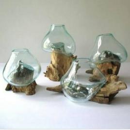 Driftwood Glass Planter Terrarium