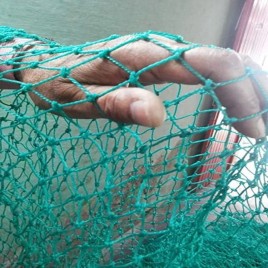 Green Nylon Bird Protection Net Roll