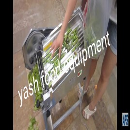 Green Pea Peeling Equipment