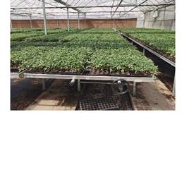 Nursery Moving Benches