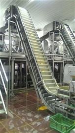 Groundnut Processing Equipment, Zigma Model, 50 KG/hr