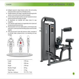 Gym Back Extension Fitness Equipment