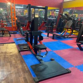 Commercial Seated Standing Lateral Raise Hammer