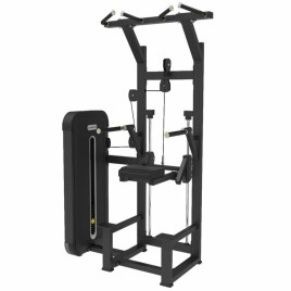 Gym Dipchin Assist Machine, Single Station