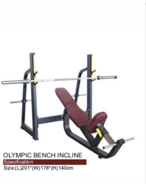 Gym Inclined Weight Bench