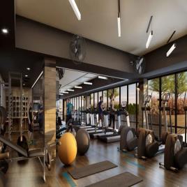 Gym Interior Design Solutions