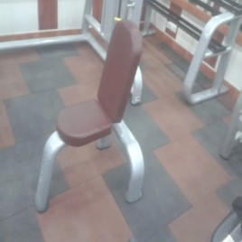 Gym Fitness Bench