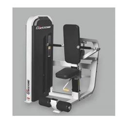 Gymstone Triceps Dip Machine