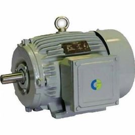 Havells 5HP Three Phase Induction Motor