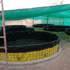 HDPE Biofloc Fishing Tank