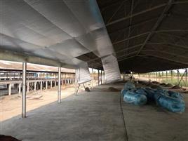 Heat Reflective Foil