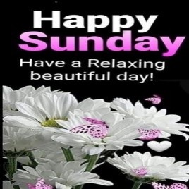 Industrial Duty Casters