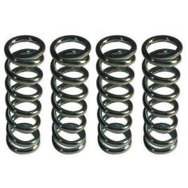 Heavy Duty Stainless Steel Springs