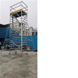 Elevated Access Platform