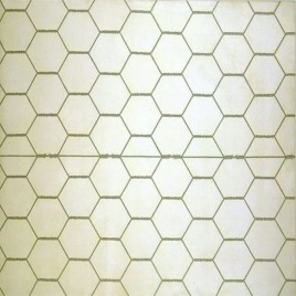 Hexagonal Wire Mesh